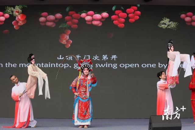 “荔乡”茂名的荔枝元素成为赛事的一大亮点掌尚策。  受访者供图