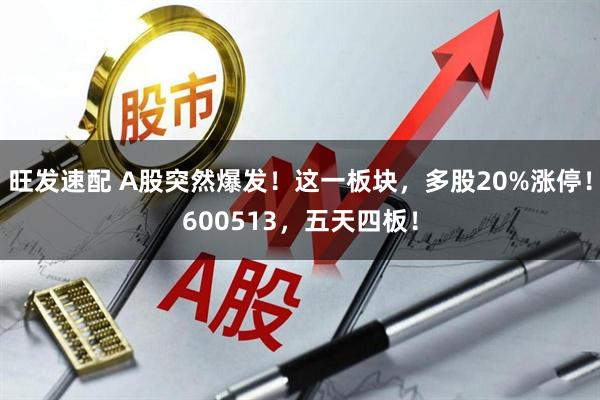 旺发速配 A股突然爆发！这一板块，多股20%涨停！600513，五天四板！