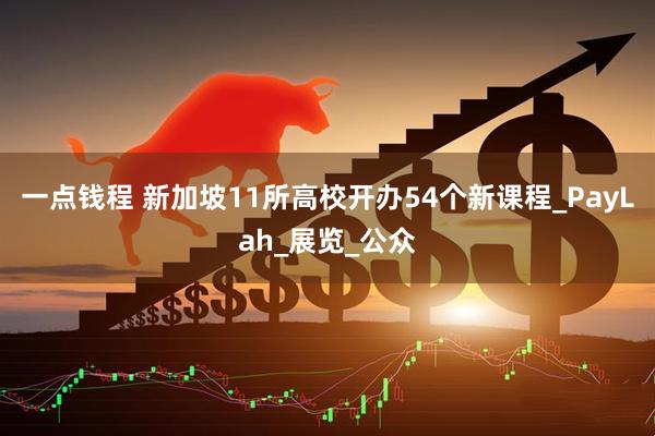 一点钱程 新加坡11所高校开办54个新课程_PayLah_展览_公众