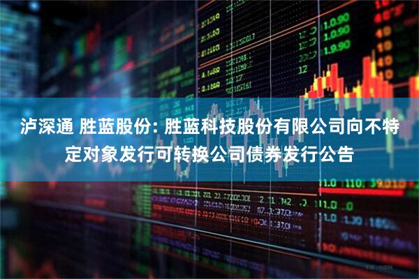 泸深通 胜蓝股份: 胜蓝科技股份有限公司向不特定对象发行可转换公司债券发行公告